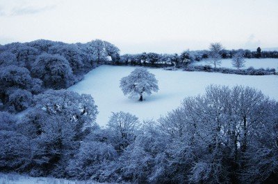 Winter-Ready Homes: A Comprehensive Guide